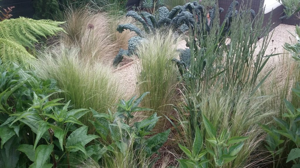 Le Jardin Contemporain // The Contemporary Garden - Barry Watton Garden Designs