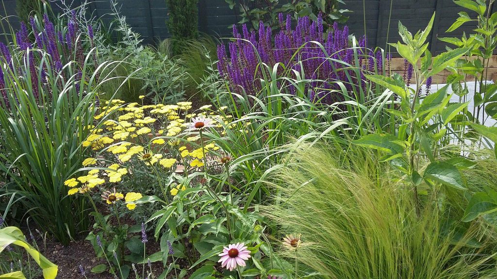 Le Jardin Contemporain // The Contemporary Garden - Barry Watton Garden Designs