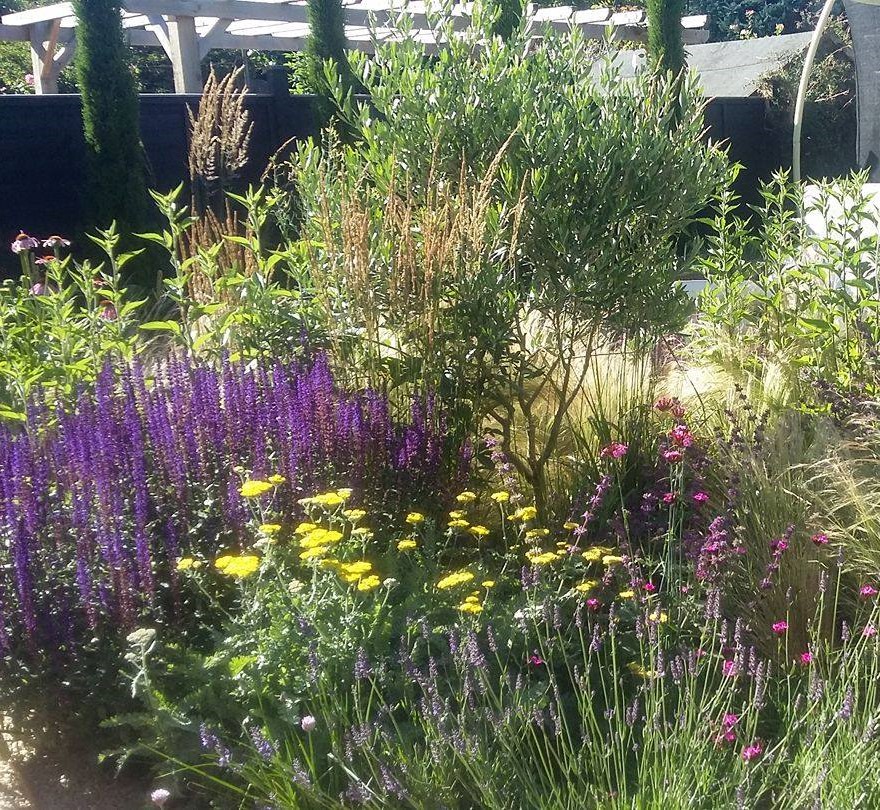 Le Jardin Contemporain // The Contemporary Garden - Barry Watton Garden Designs