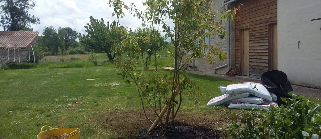 Le Jardin Contemporain // The Contemporary Garden - Barry Watton Garden Designs